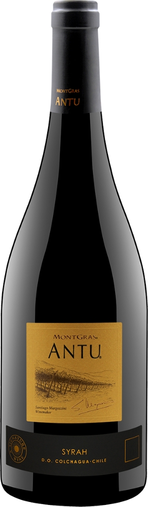 Antu Syrah Colchagua Valley