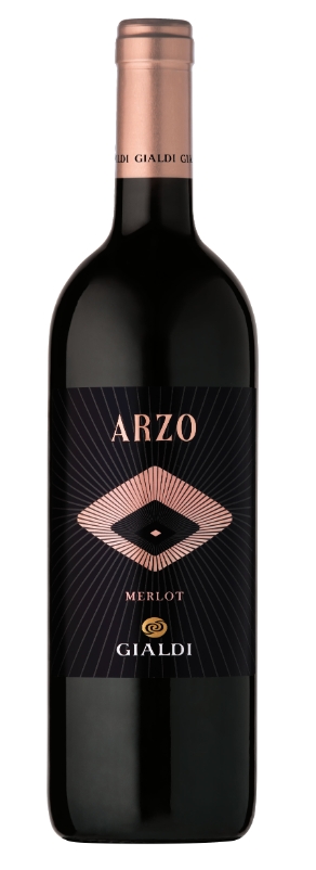 Merlot Ticino ARZO DOC 2020