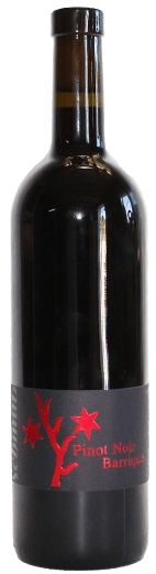 Vully Pinot Noir Schmutz en