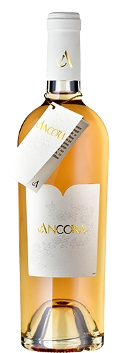 Ancora ROSÉ 2022