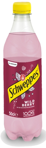 Schweppes Wild Berry PET 6-P